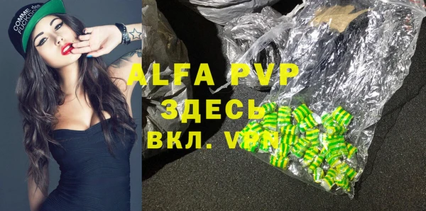прущие грибы Новокубанск