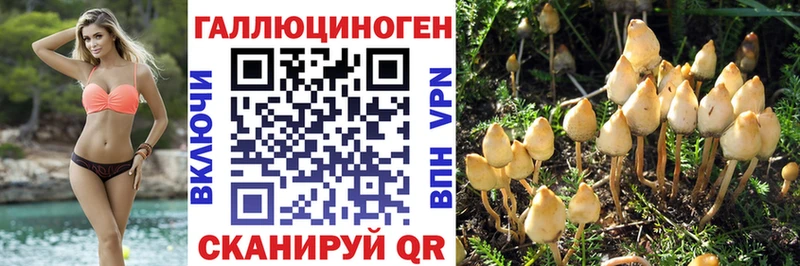 дарк нет какой сайт Ялуторовск Псилоцибиновые грибы Psilocybine cubensis