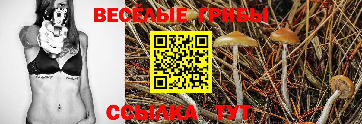 Ялуторовск  Псилоцибиновые грибы Psilocybe  Вход с VPN  Псилоцибиновые грибы Magic Shrooms 