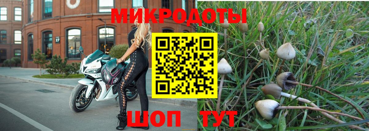 Псилоцибиновые грибы Cubensis Ялуторовск